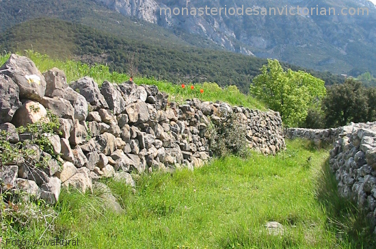 foto_hor_500